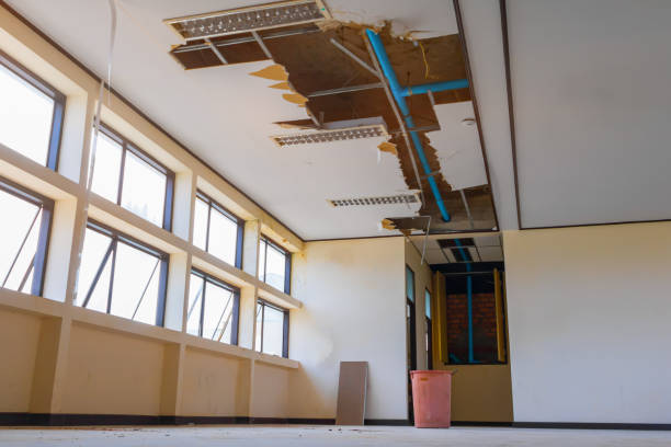 Best Residential water damage restoration  in Cedar Glen West, NJ