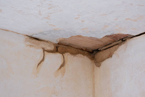 Best 24/7 water damage repair  in Cedar Glen West, NJ