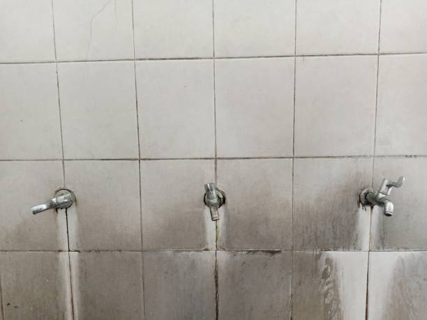 Best Mold removal after water damage  in Cedar Glen West, NJ