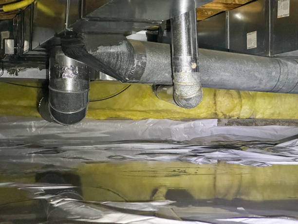 Best Ceiling water damage repair  in Cedar Glen West, NJ